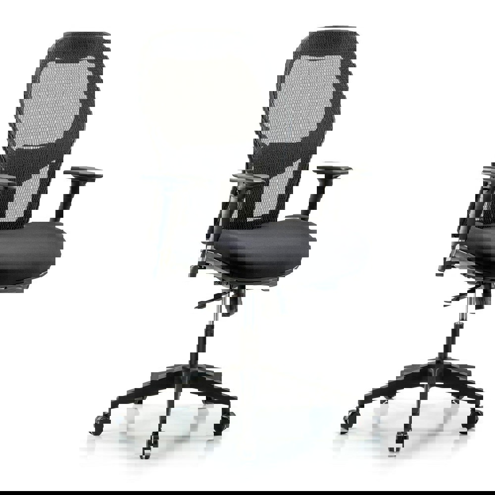 Task Chair: Mesh Fabric, Black